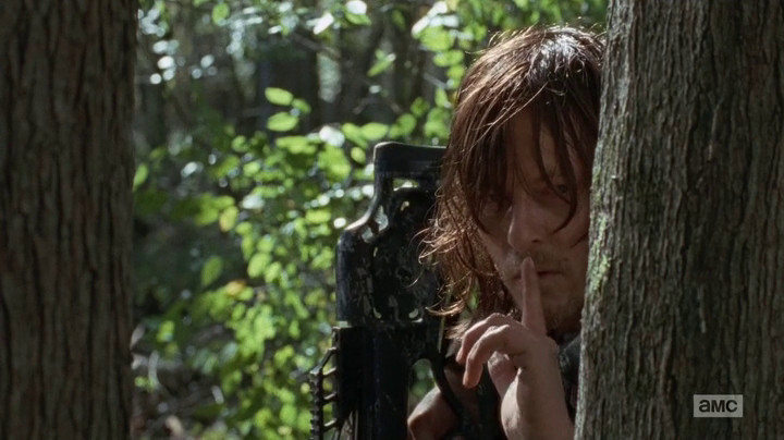 Daryl on The Walking Dead.