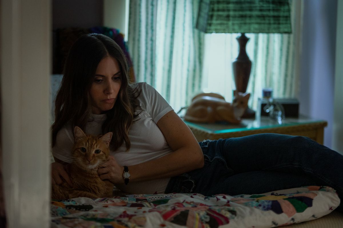 Alison Brie cuddles a cat on a bed while looking pensive in Somebody I Used to Know.