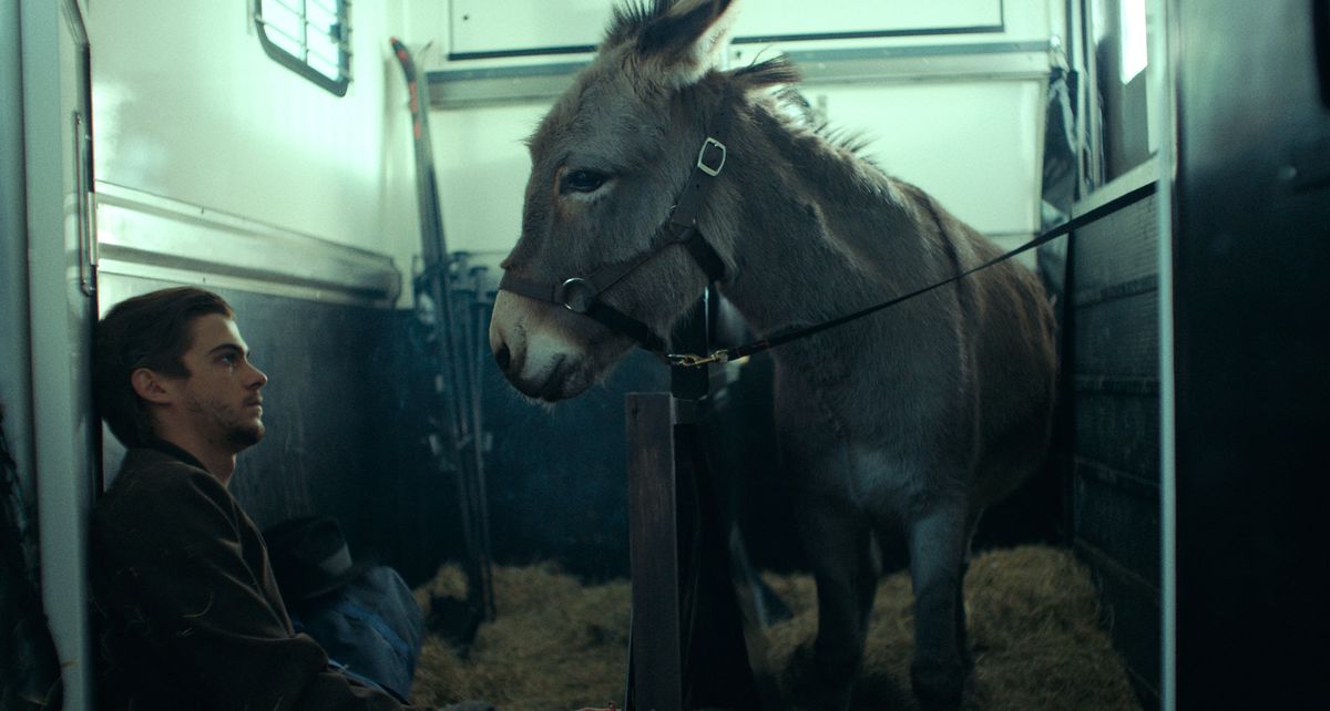 EO, l'âne protagoniste du candidat à l'Oscar 2023 EO, traîne dans une remorque à chevaux avec un homme aux cheveux noirs qui le regarde profondément dans les yeux.