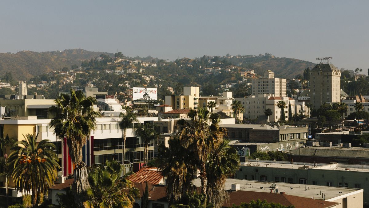 Aerial view of a city scape. Hills dotted with homes in the background and tall buildings and palm trees in the foreground against a hazy blue sky.