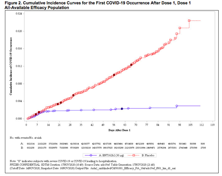 A graph comparing a placebo group to the treatment group in the Pfizer-BioNTech Covid-19 vaccine clinical trial.