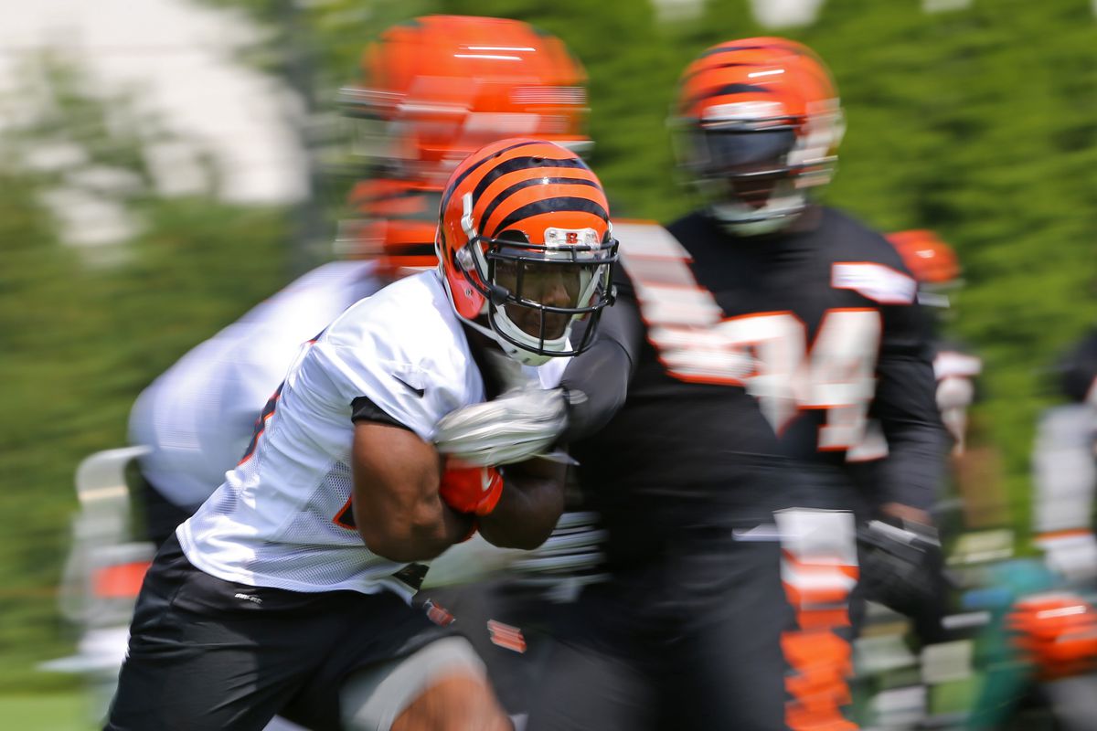 NFL: Cincinnati Bengals-Training Camp