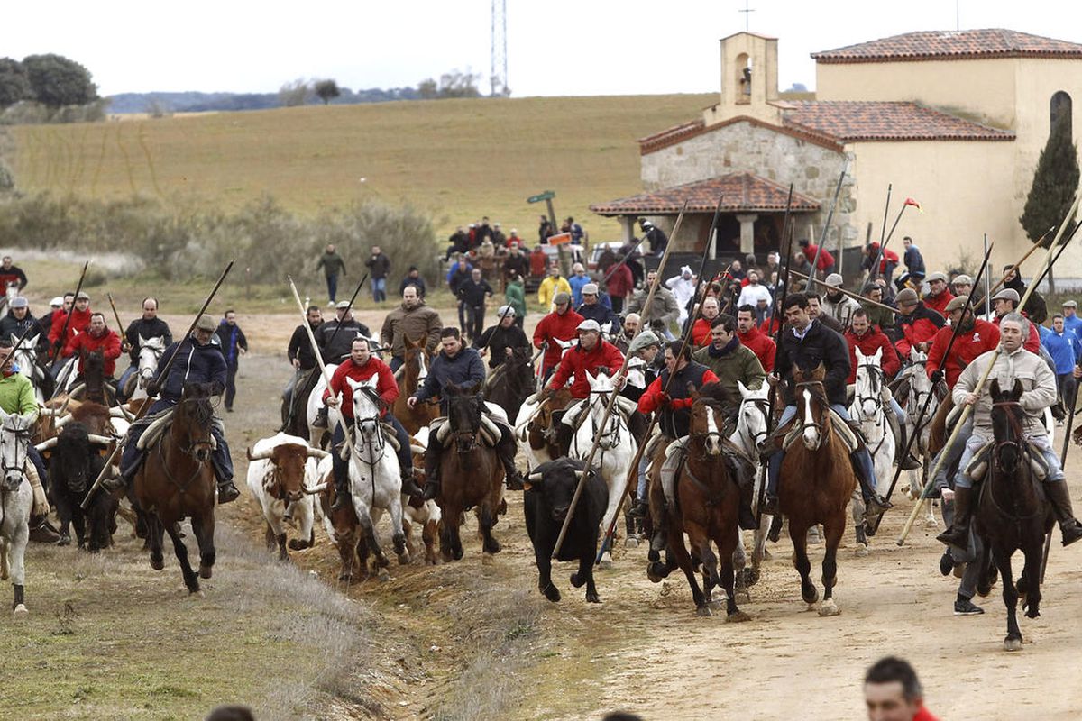 Men ride horses next to a bull during the "Carnaval del Toro" in Ciudad Rodrigo, Spain, on Sunday, Feb. 15, 2015. 