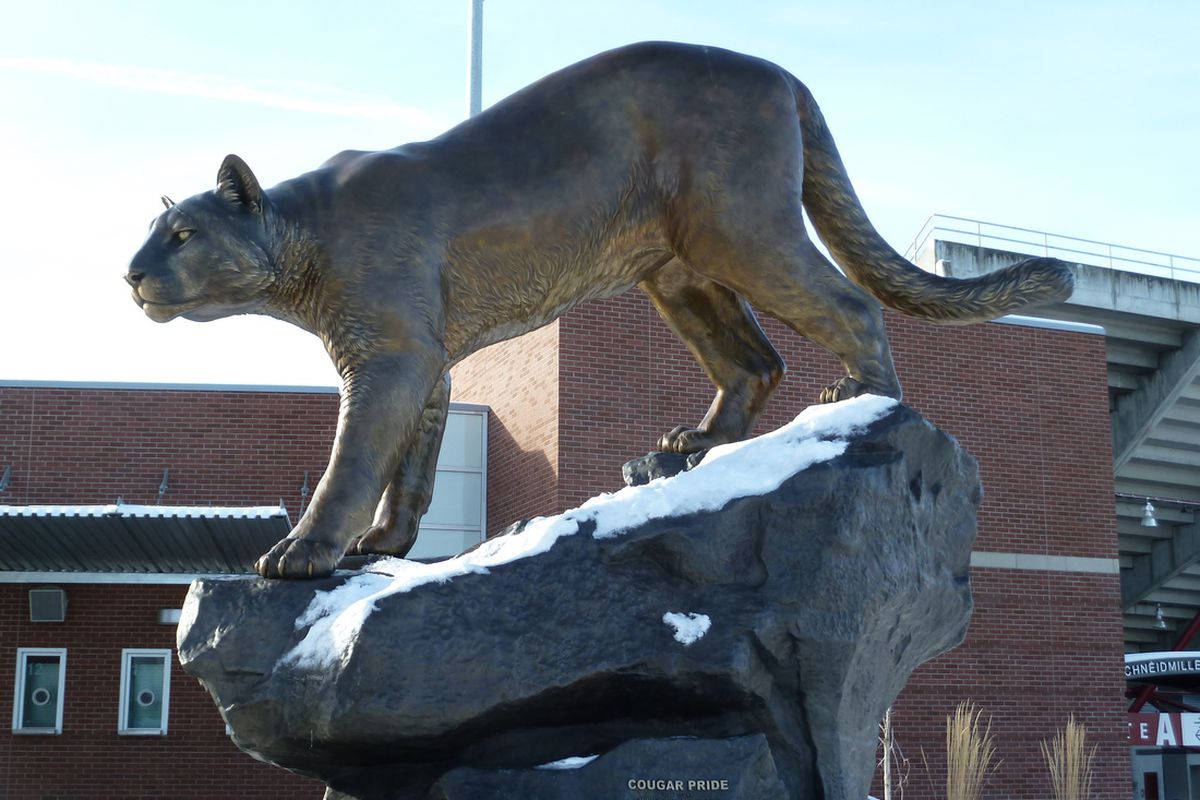 Sorry Cougar Pride, no curling for you any time soon. Photo Courtesy: WSU Athletic Communication