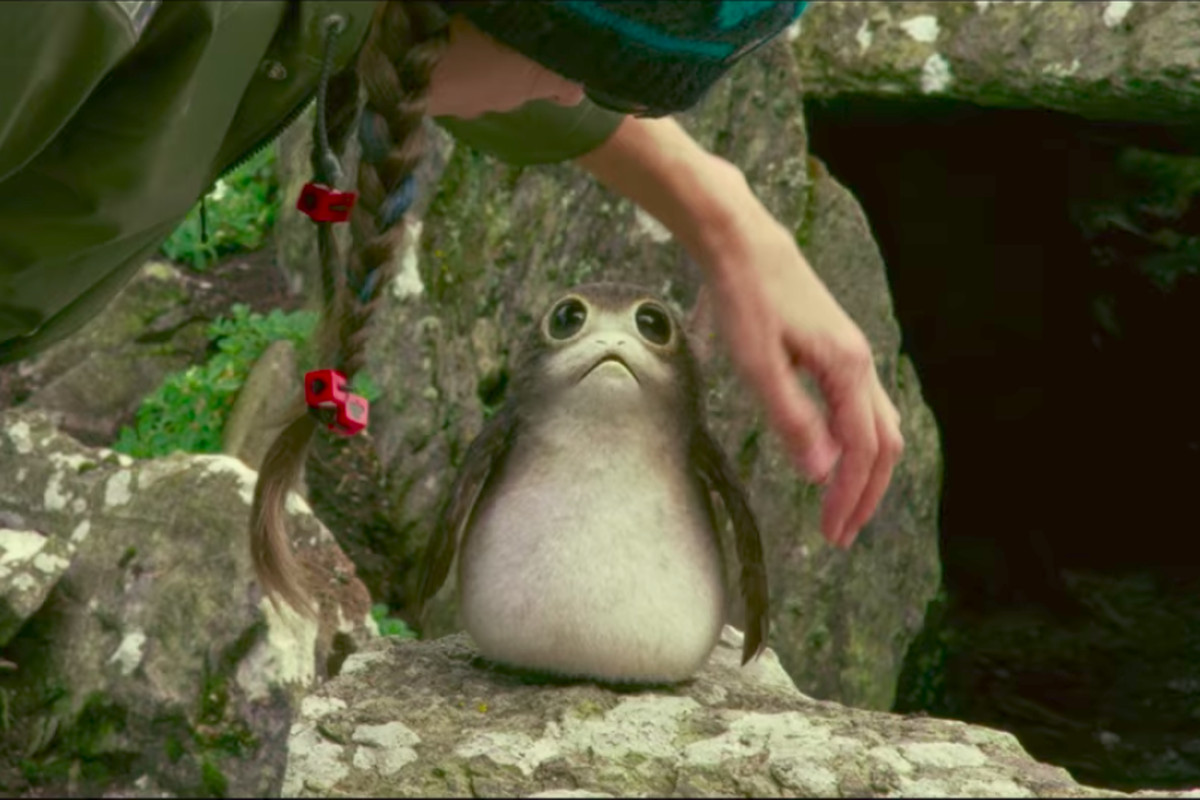 A small Star Wars creature that seems like a mix between a puffin, an otter, and a pug. So cute!!