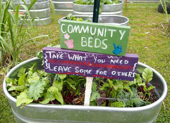 A community garden bed flush with thriving plant life boasts a sign with two panels reading, “Community beds” and “Take what you need leave some for others.”