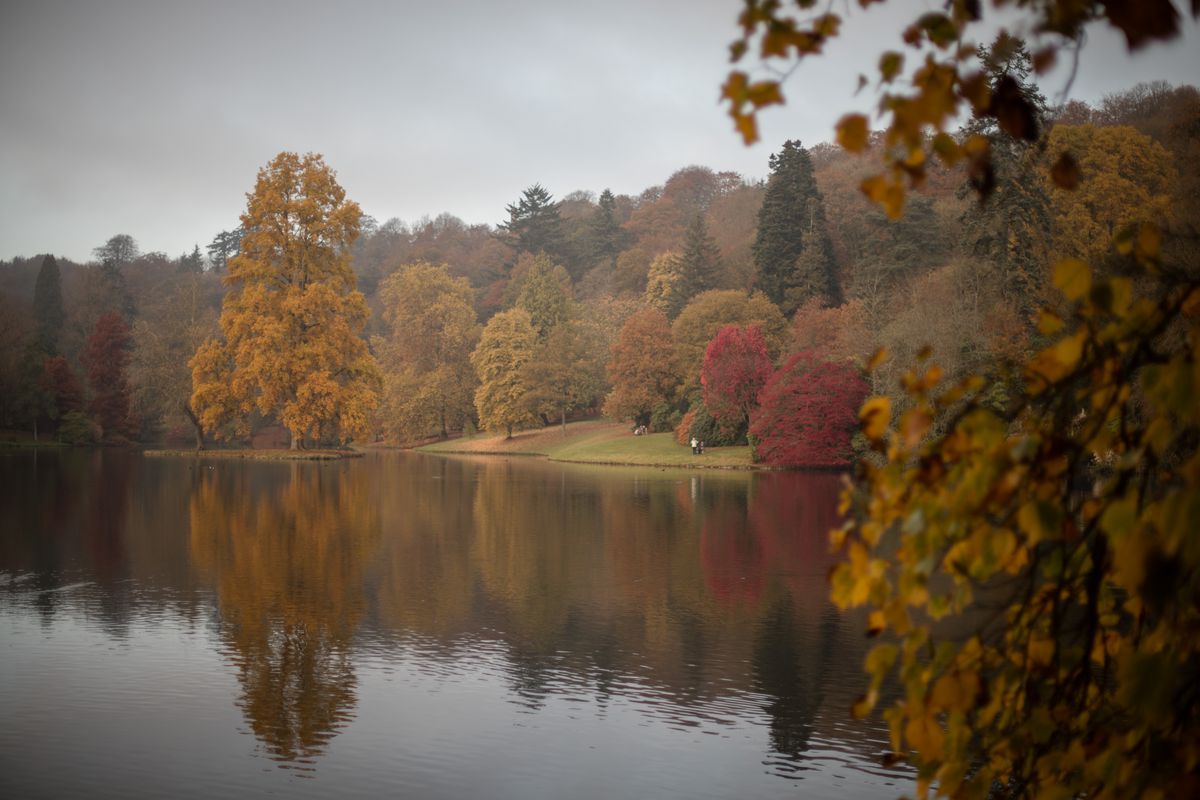 Autumn Colours Reach Their Peak In The UK