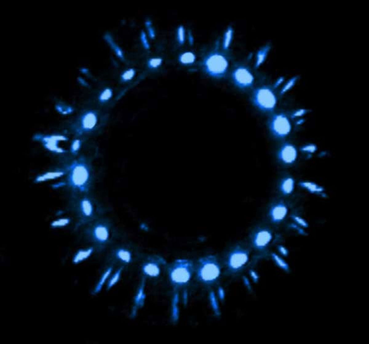 A ring of lights indicating the photophores of a jellyfish.