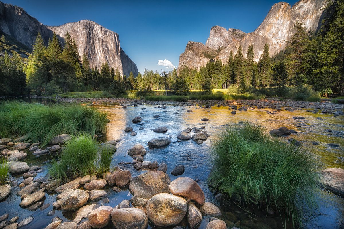 Yosemite National Park in summer.