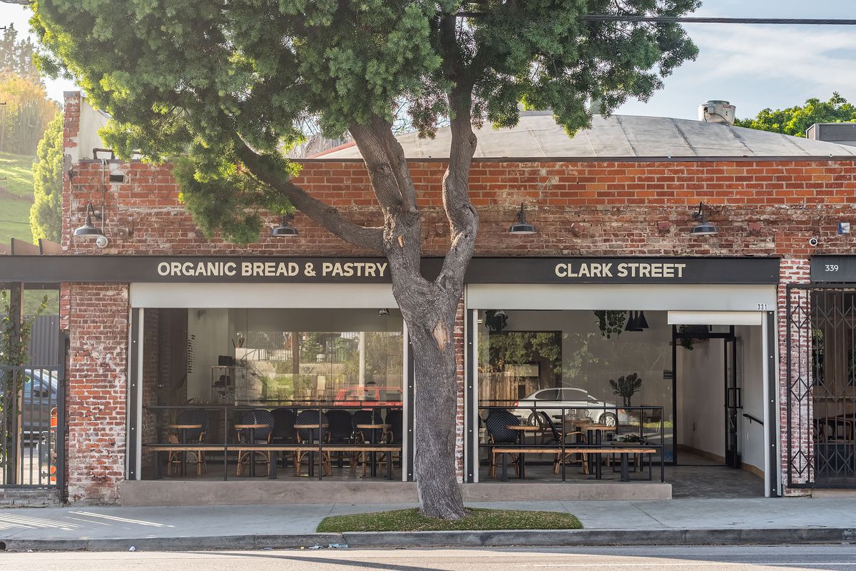 An exterior of a new bakery cafe with a tree sitting in the middle.