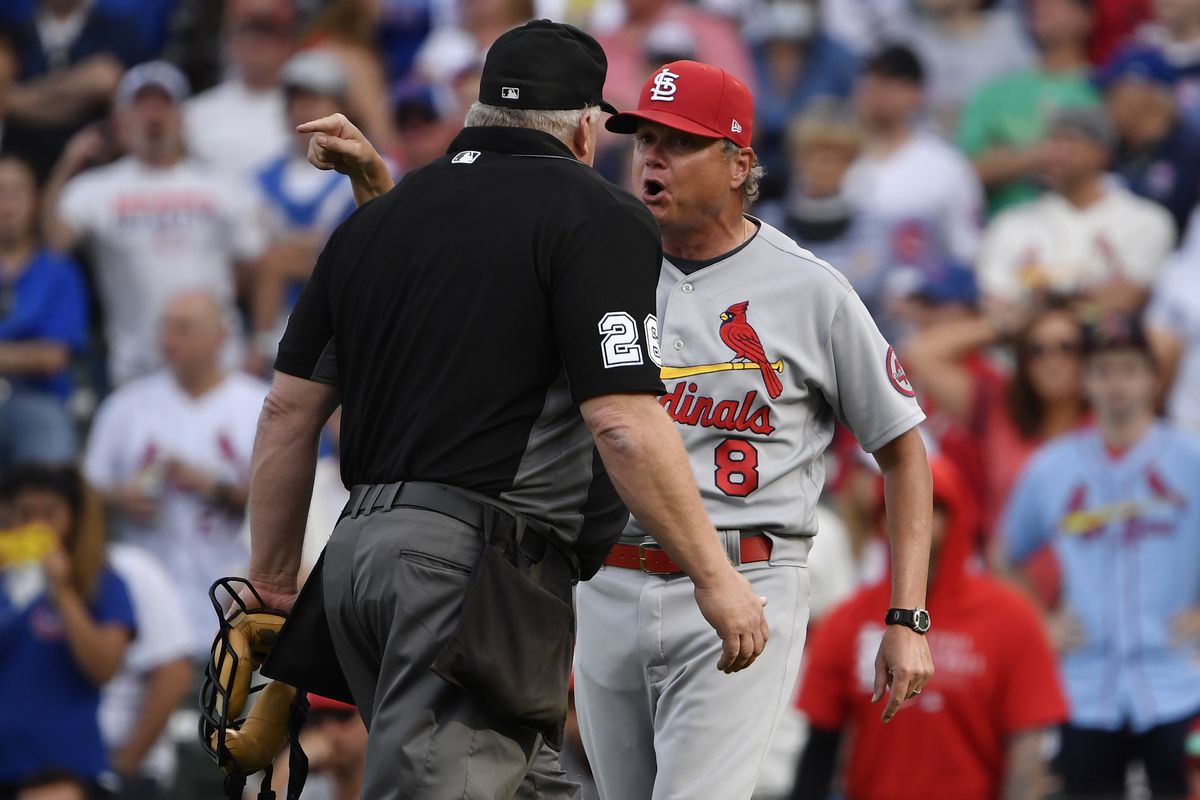 The real story on why Mike Shildt was fired - Viva El Birdos