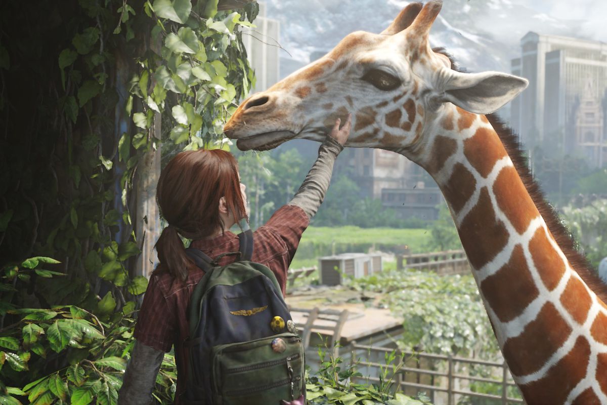 Ellie petting a giraffe that is eating leaves in The Last of Us Part 1