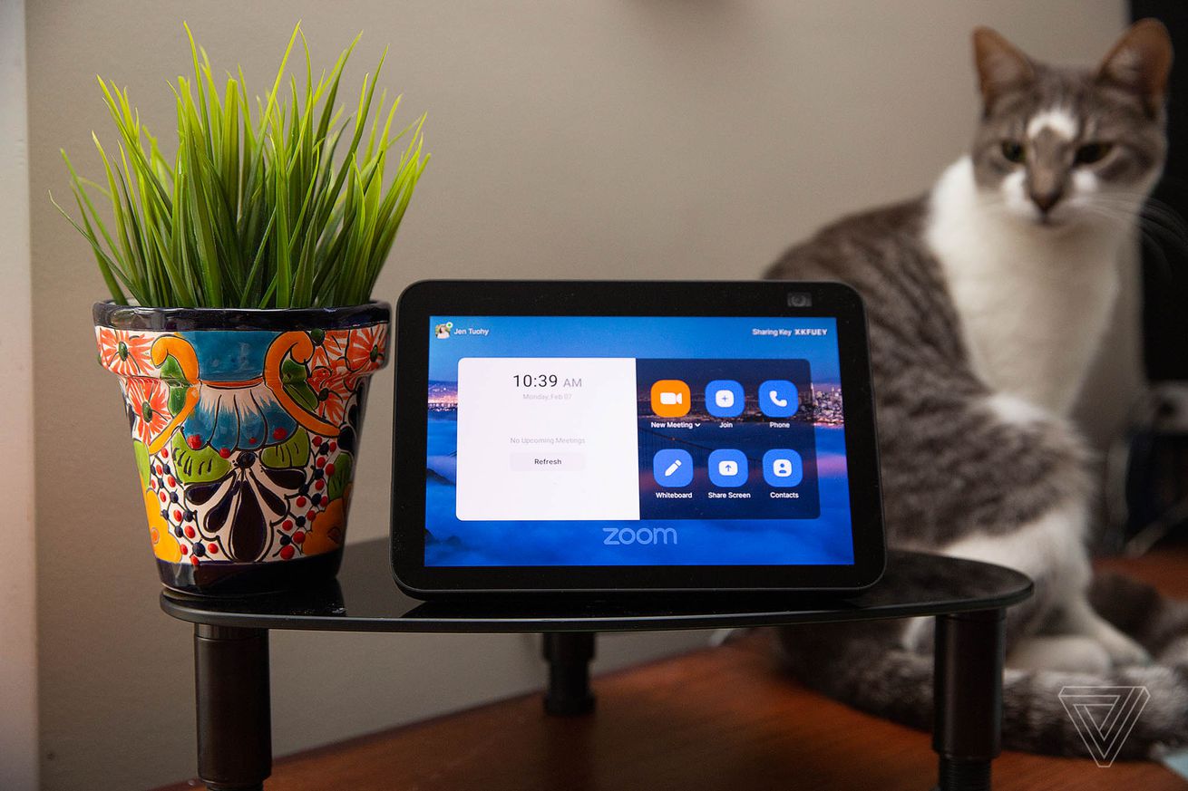 Amazon Echo show with a cat