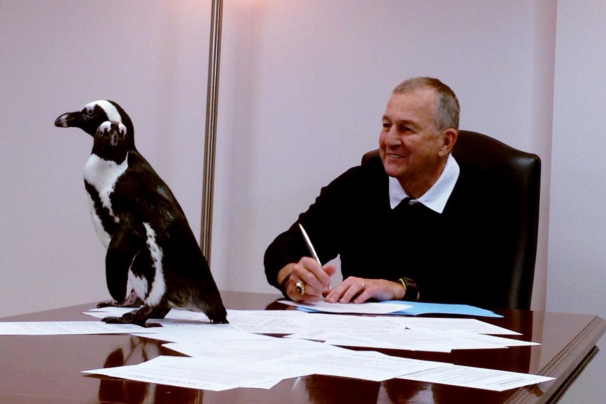 This is Jim Calhoun with a penguin.