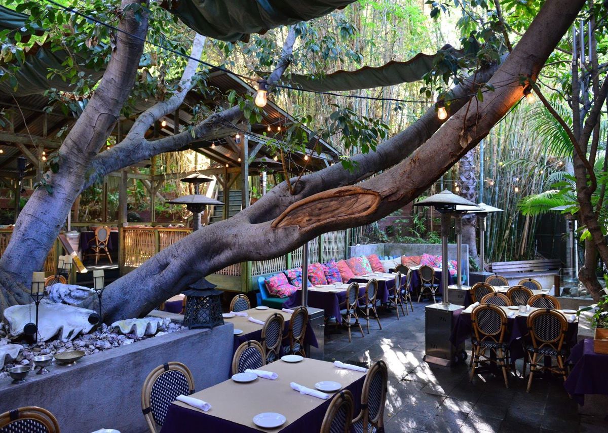 Cliff’s Edge, a restaurant in Silver Lake, shown with its leafy patio in daytime.