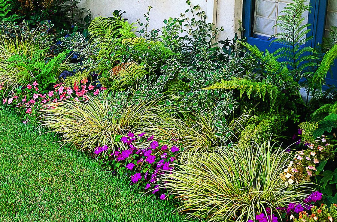 Foundation Plants Design Ideas For Beautiful Landscaping   This ...