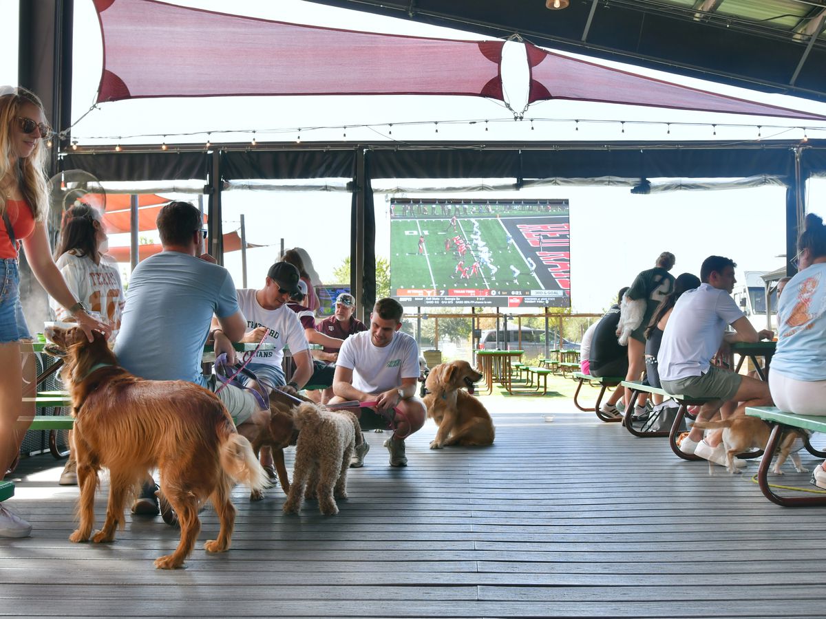 Fans and dogs hang out on the covered patio at Kirby Ice House, while fans watch a football game on a screen.