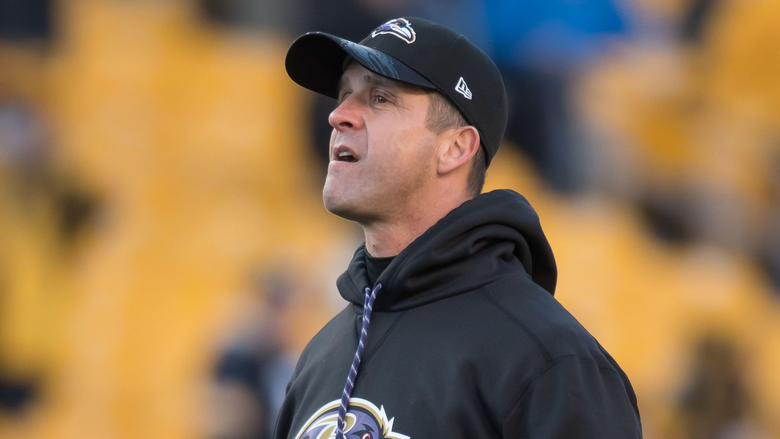 OTA press conference highlights from John Harbaugh, Alex Lewis and Dennis Pitta ...