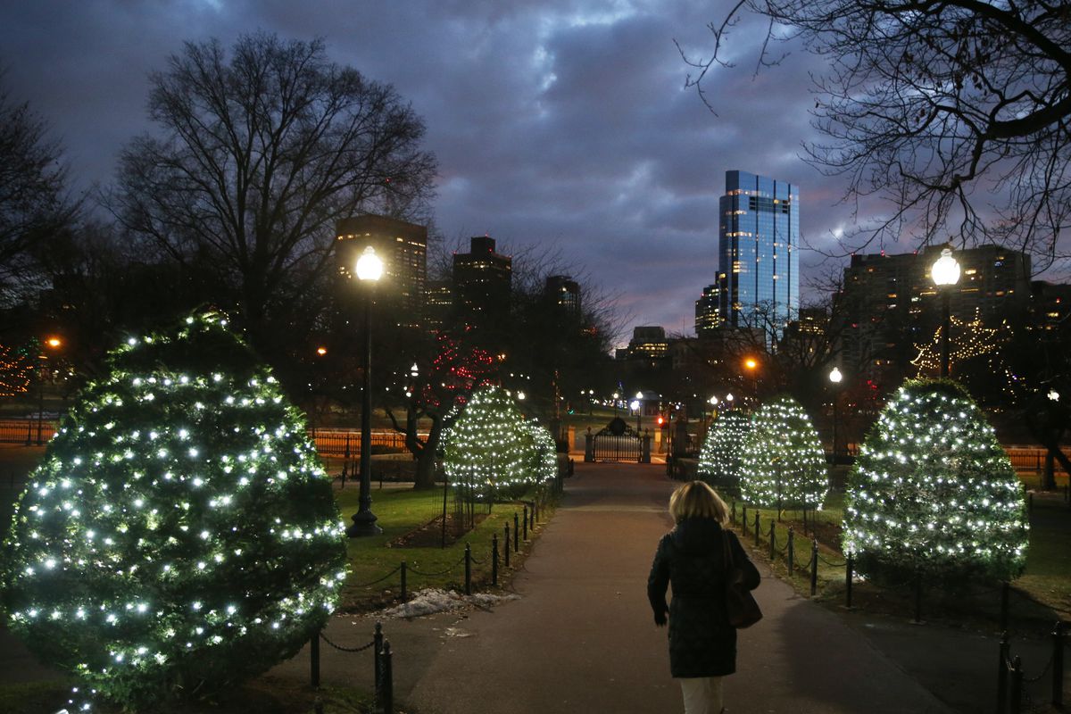 A person walking between two rows of illuminated bushes at night in a public park in a city.