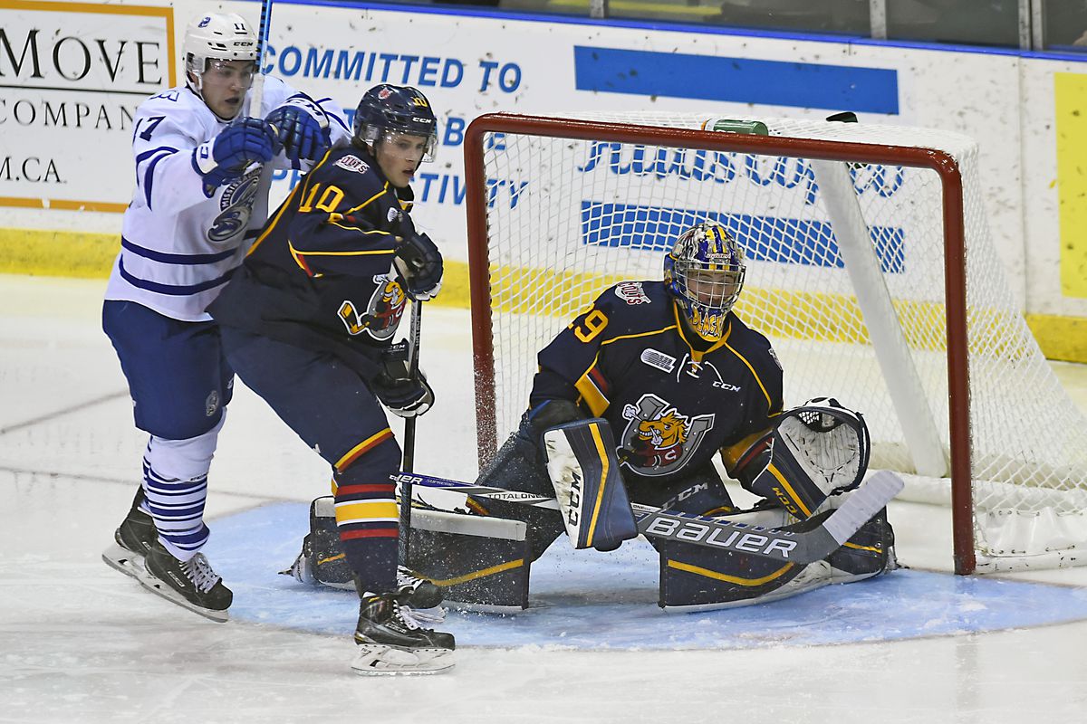 Everett Clark #17 of the Mississauga Steelheads fights for crease space with Justin Murray #10 and goalie Mackenzie Blackwood #29 of the Barrie Colts during OHL game action on November 1, 2015 at the Hershey Centre in Mississauga, Ontario, Canada.