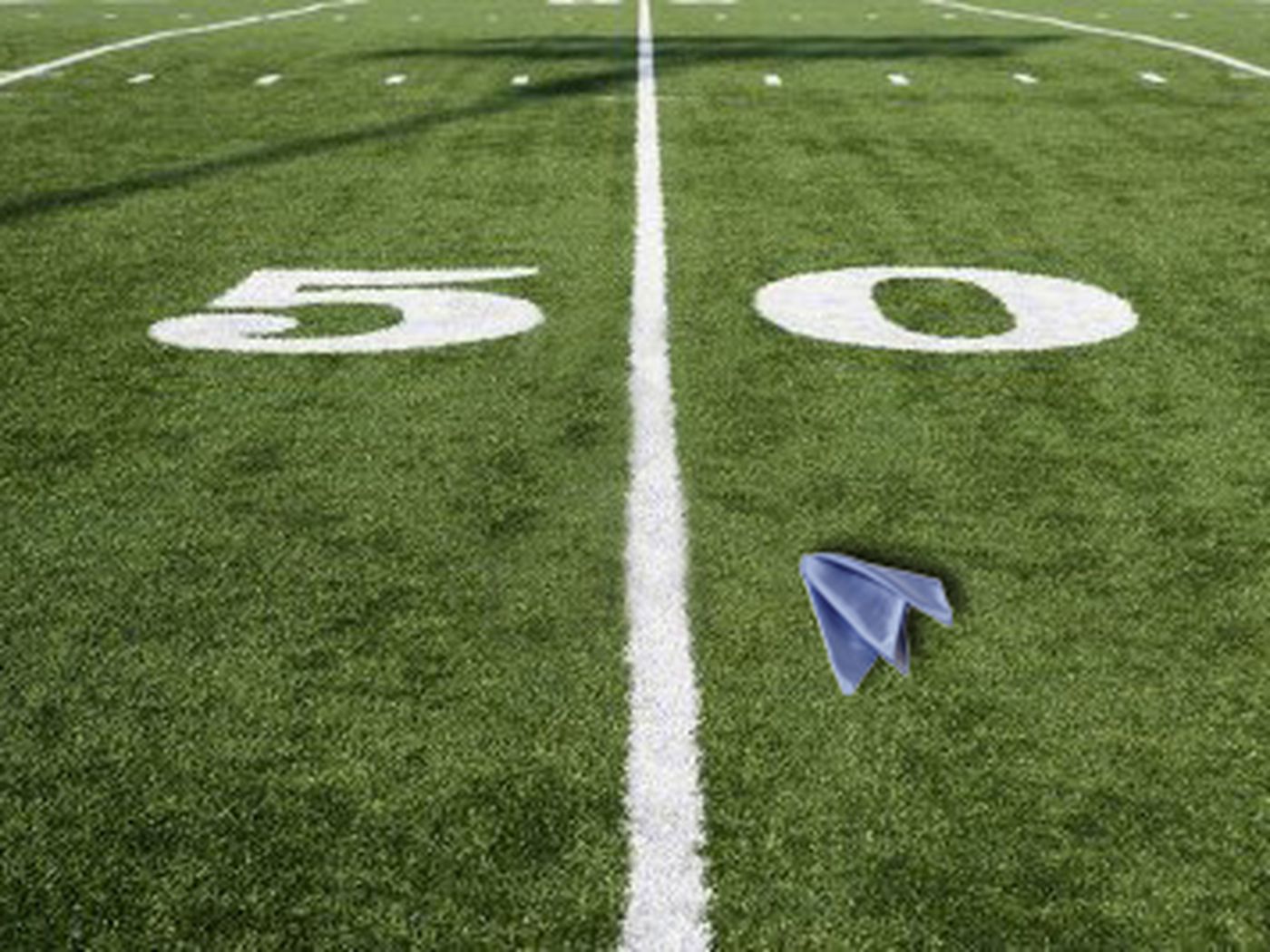 New NFL Rule Proposal: Blue Flag Do-Overs - Canal Street Chronicles