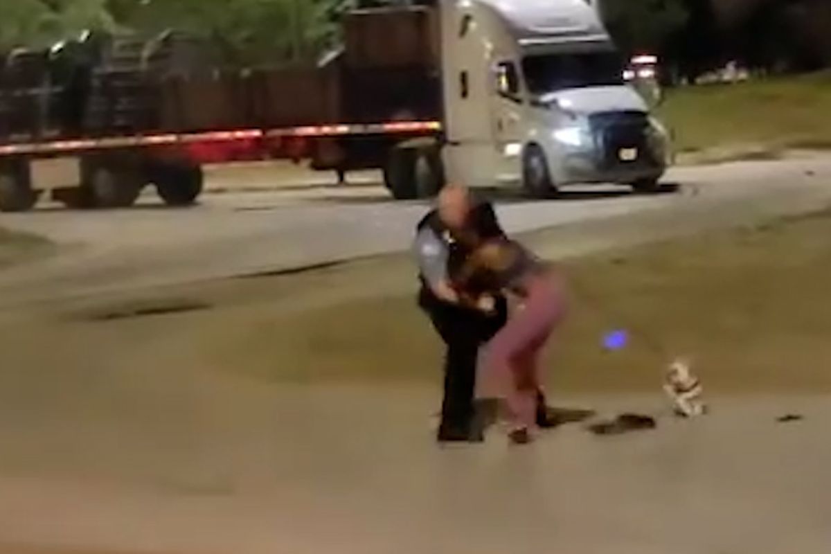 Chicago Police Officer Put on Desk Duty After Video Showing Him Grabbing Woman Who Was Leaving Beach With Her Dog
