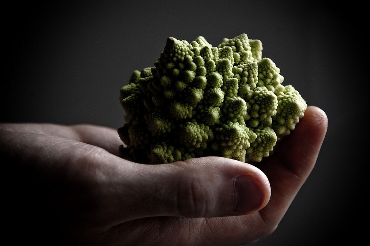 fractal brocoflower (flickr)