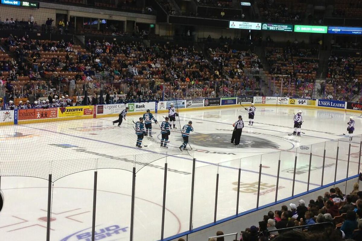A shot of the Worcester Sharks and Manchester Monarchs at the Verizon Wireless Arena Sunday afternoon. 