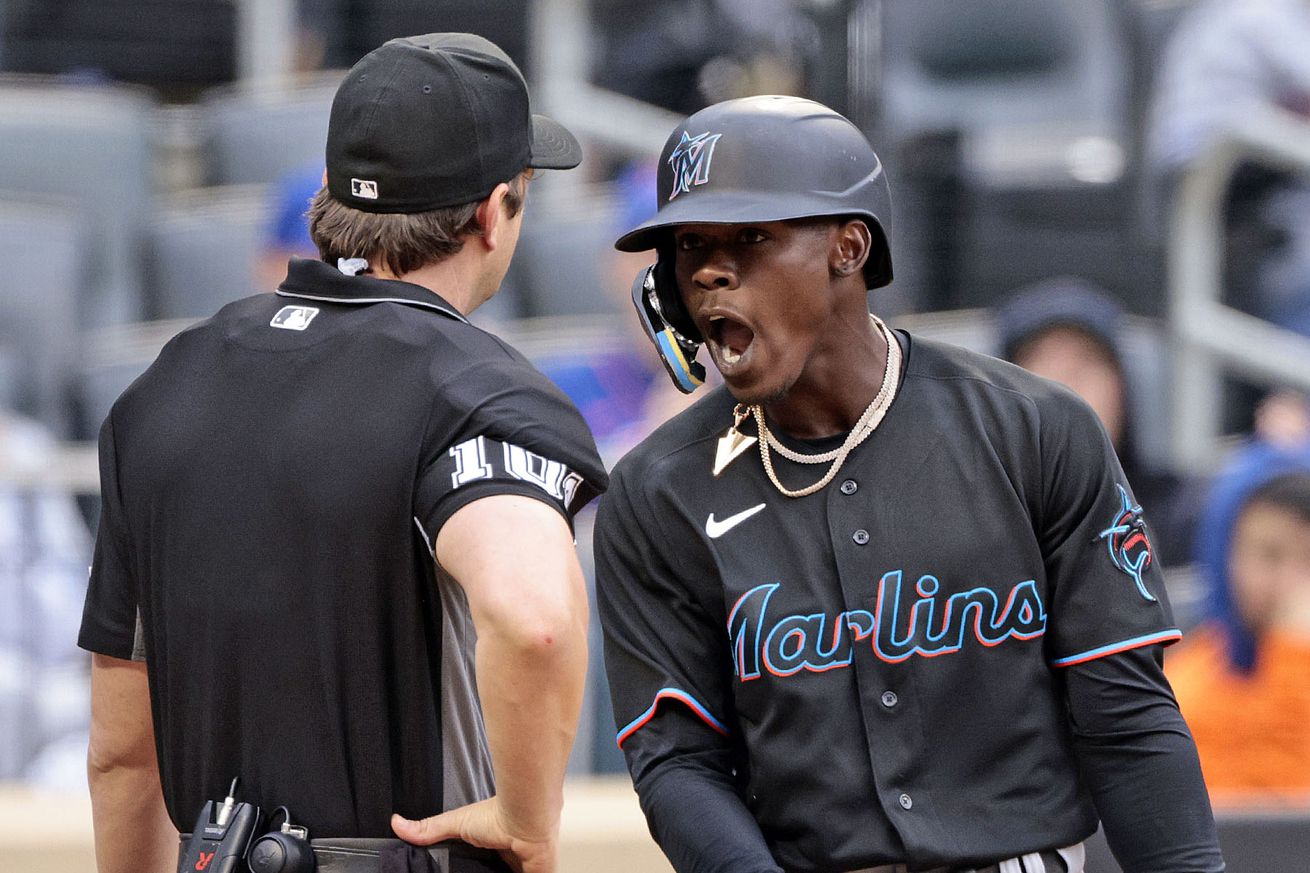 Jazz Chisholm Jr. #2 of the Miami Marlins continues to argue with umpire Adam Beck #102 after a called strike three in the top of the ninth inning against the New York Mets at Citi Field on June 18, 2022 in New York City. The Mets defeated the Marlins 3-2.