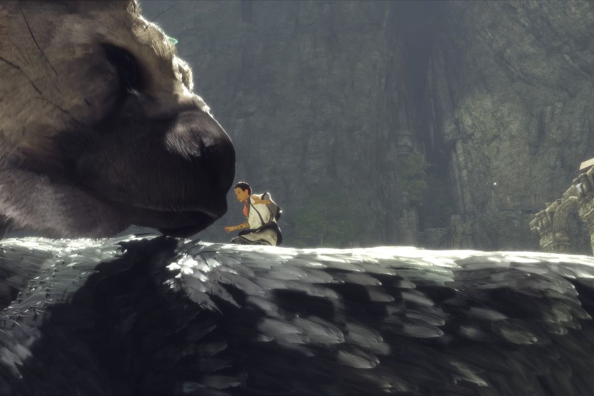 The Last Guardian contains a beautiful lesson about animals' ability to  forgive - Polygon