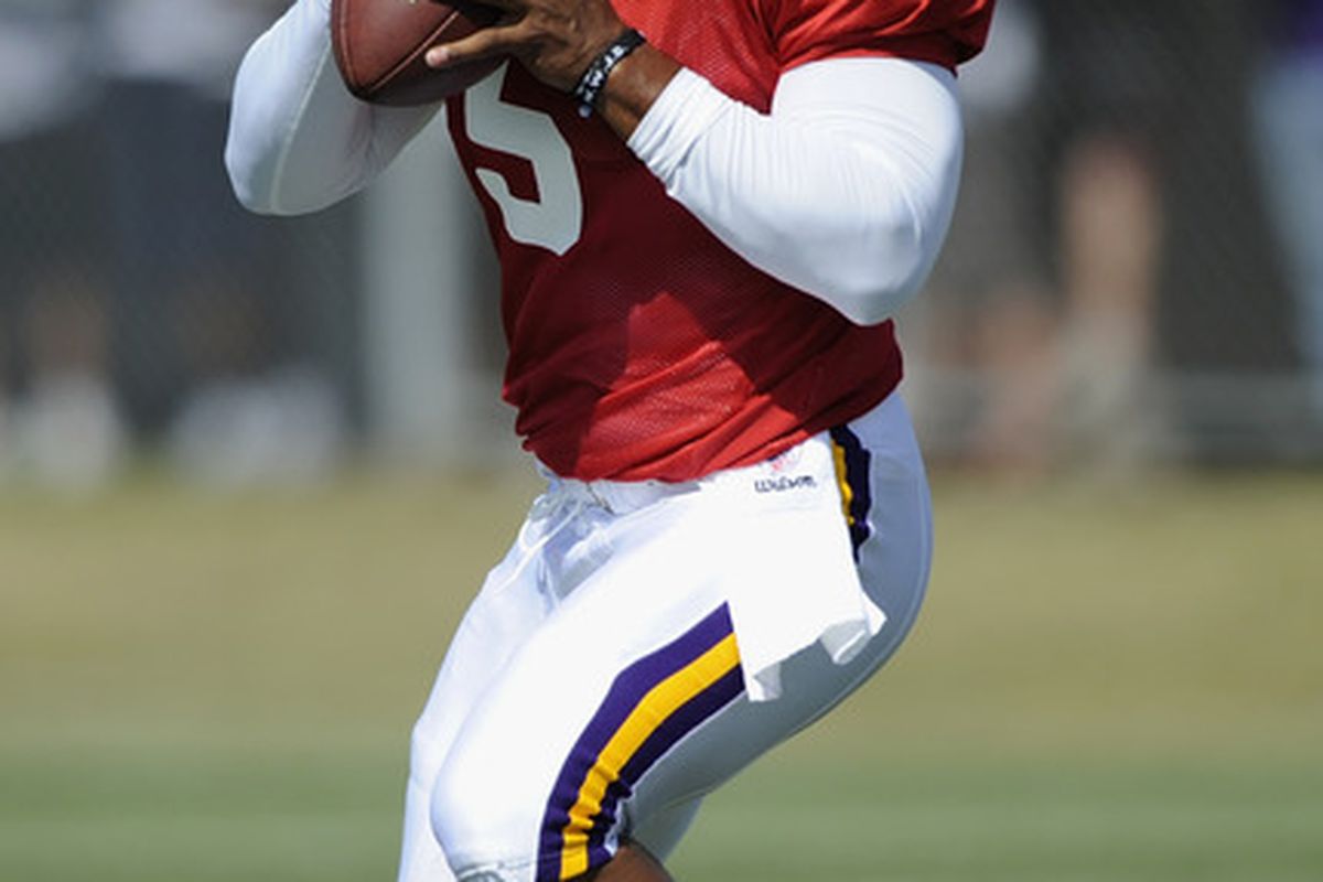 MANKATO, MN - AUGUST 4:  Donovan McNabb #5 of the Minnesota Vikings carries the ball during training camp at Minnesota State University on August 4, 2011 in Mankato, Minnesota. (Photo by Hannah Foslien/Getty Images)