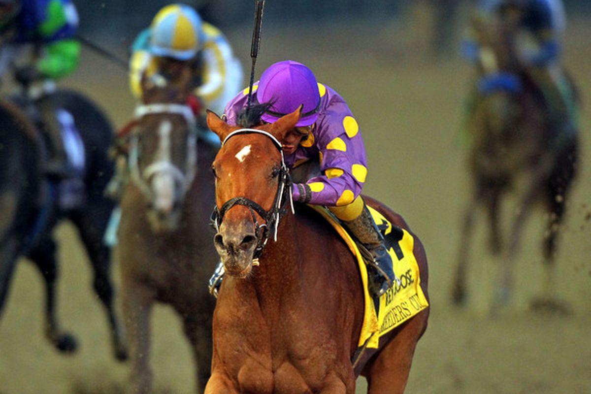 LOUISVILLE KY - NOVEMBER 05: Awesome Feather runs to victory in the Juvenile Fillies during the Breeders' Cup World Championships at Churchill Downs on November 5 2010 in Louisville Kentucky.  (Photo by Andy Lyons/Getty Images)