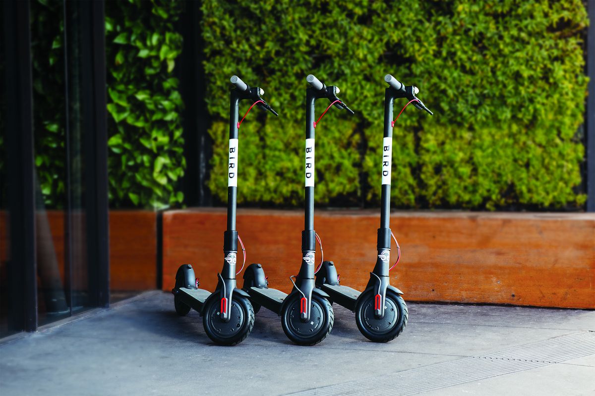 E-scooters in a row. 