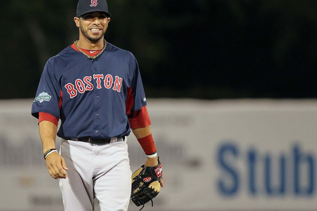 Boston Red Sox shortstop Mike Aviles smiles in the fifth inning against the New York Yankees at George M. Steinbrenner Field. Mandatory Credit: Kim Klement-US PRESSWIRE