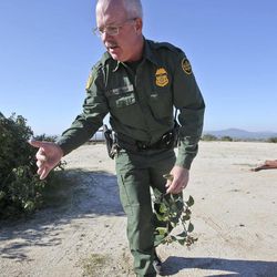 In this Monday, March 25, 2013 photo, Border Patrol agent Richard Gordon, a 23-year veteran of the agency, holds a small bunch of leaves as he demonstrates how illegal immigrant brush their foot prints while trying to avoid being tracked by Border Patrol agents after entering the United States in the Boulevard area east of San Diego in Boulevard, Calif. For the past 16 years, Gordon has been one of the top "sign-cutters" or trackers in the Border Patrol. 