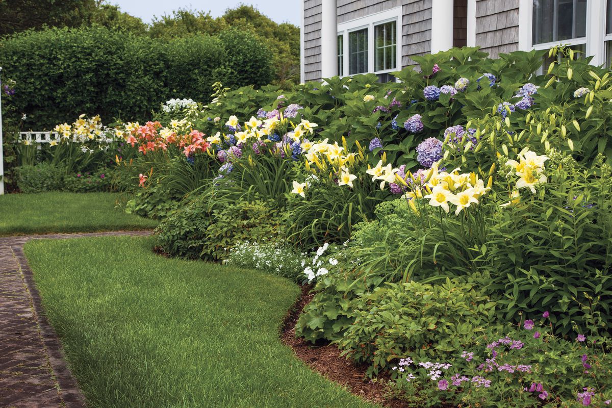 Pale-yellow and salmon-colored daylilies take center stage in this blooming border.
