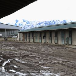 The Salt Lake County Equestrian Center in South Jordan is pictured on Friday, Jan. 7, 2022. Utah State University will assume ownership of the center after years of debate over the viability of the facility.
