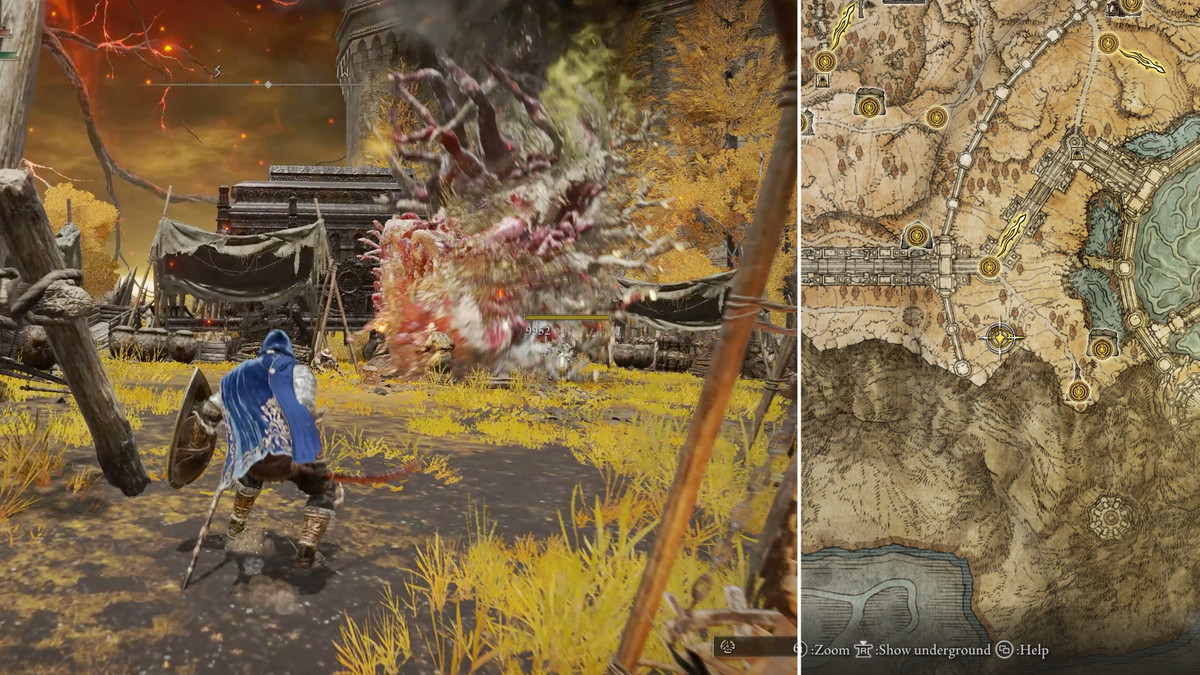 Split image showing map and Ulcerated Tree Spirit Golden Seed location 