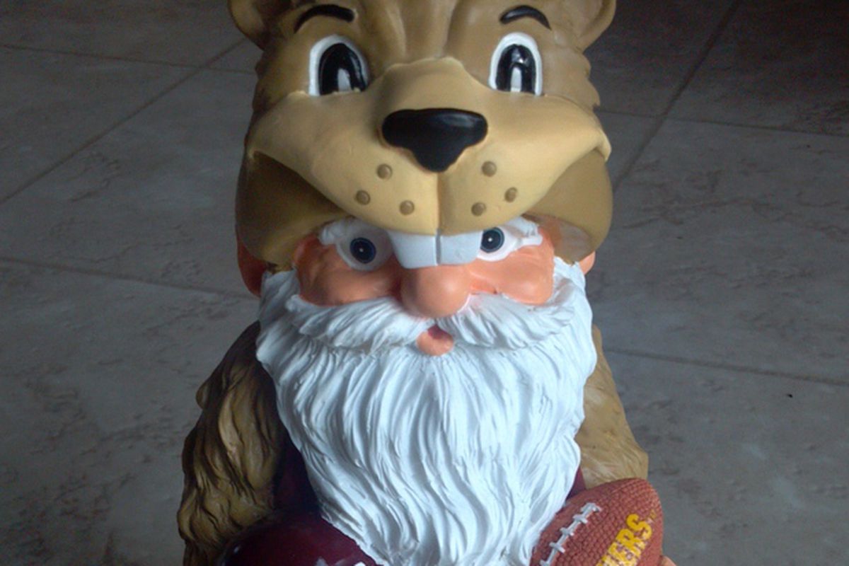 Gopher Gnome