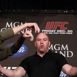 UFC 141 Press Conference Photos