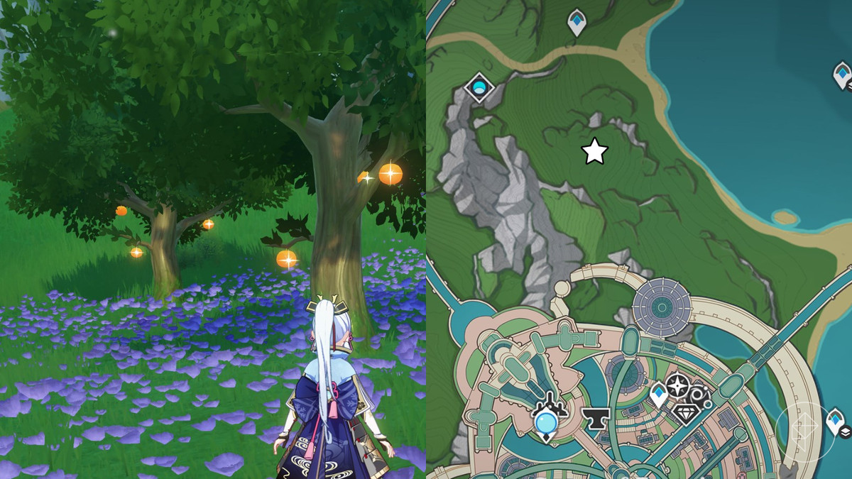 Location of a mass amount of Bulle Fruit marked on the map of Fontaine in Genshin Impact.