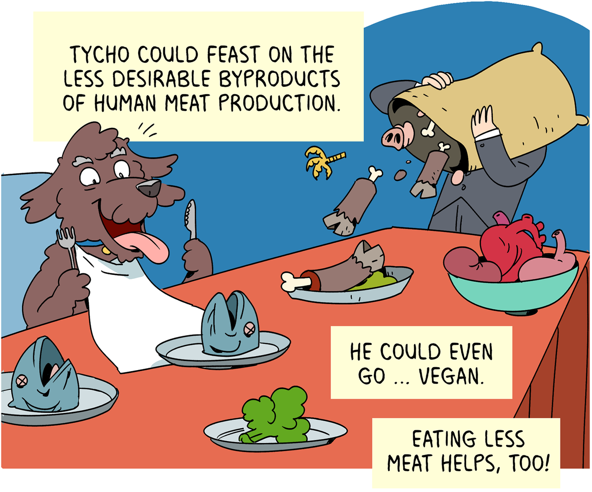 Tycho could feast on the less desirable byproducts of human meat production. He could even go … vegan. Eating less meat helps, too!