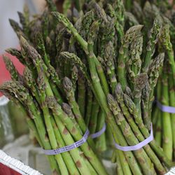 Asparagus from the Ellis Family Farms  | Victor Hilitski/For the Sun-Times