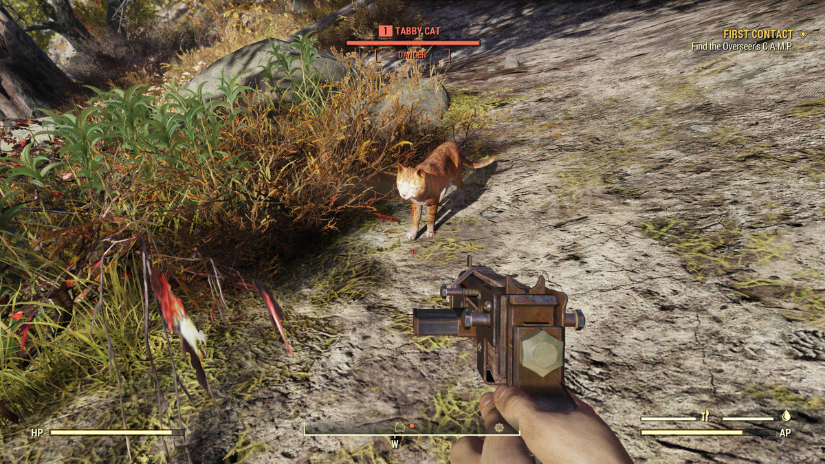 Fallout 76 - tabby cat