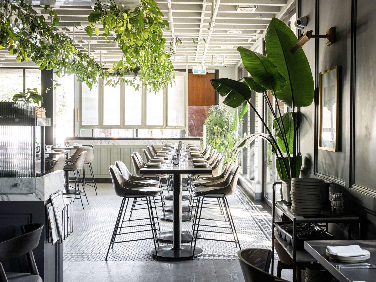 A bright, plant-filled restaurant interior with a long table set with schoolhouse chairs. 