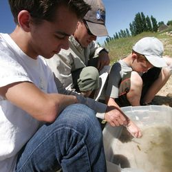 Aidan Shorthill, Brian Greene and James Schvaneveldt examine macroinvertebrates  collected from a pond behind the Utah State University Uintah Basin campus in Vernal.