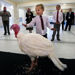 Isaac Christensen pets Sir Featherbottoms before Lt. Gov. Spencer Cox pardoned the turkey during a ceremony at the Capitol in Salt Lake City on Monday, Nov. 21, 2016. Isaac is a member of the family that raised the turkey.