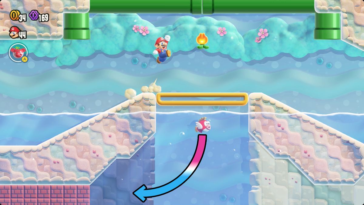 Super Mario Bros. Wonder Robbird Cove screenshot showing the Wonder Flower location.