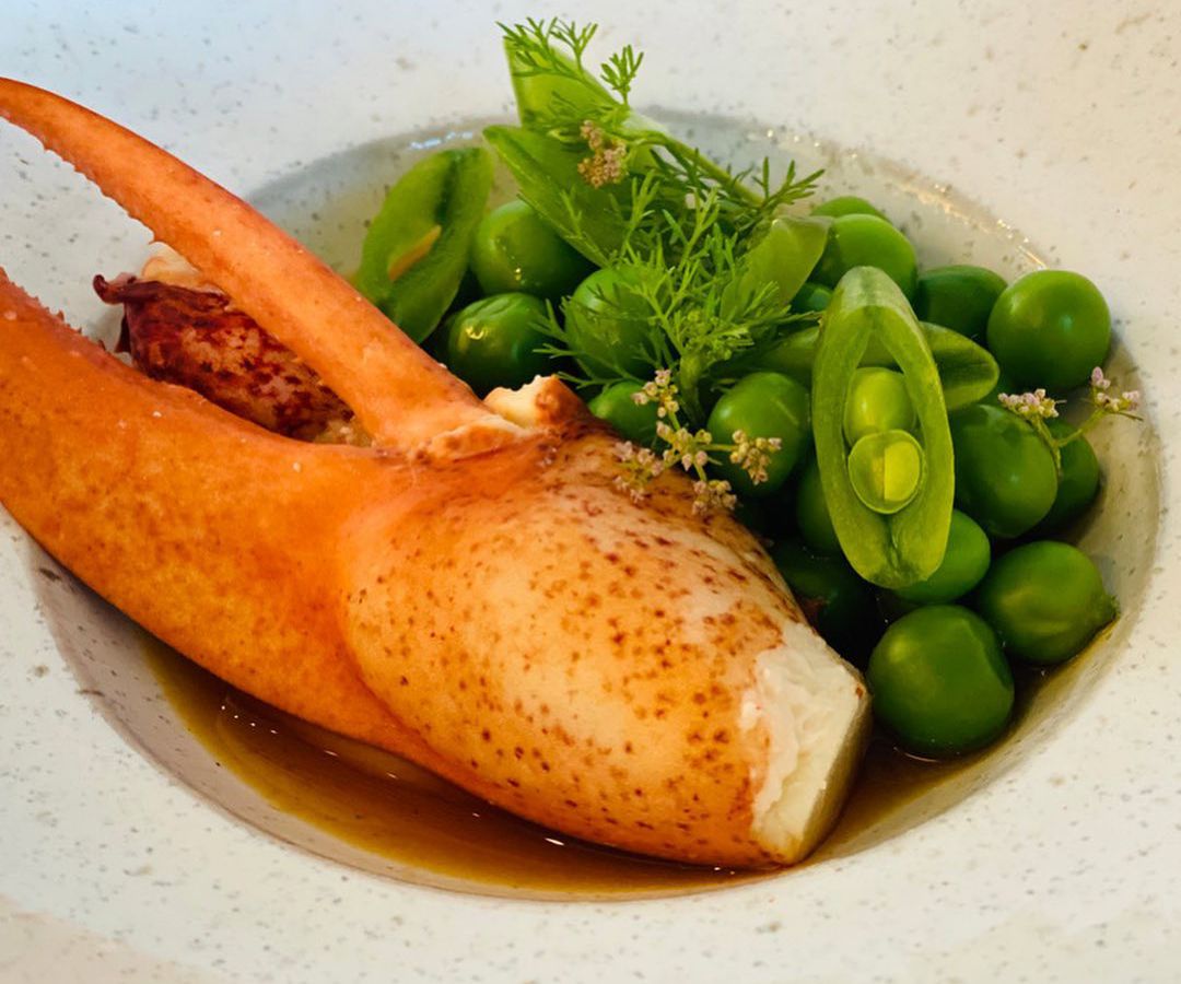 Maine lobster with English peas