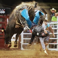 Jacob O'Mara of Baton Rouge Louisiana, comes off of Undertaker, during the final night of competition Saturday, July 25, 2015, of the Days of 47 Rodeo at EnergySolutions Arena in Salt Lake City.